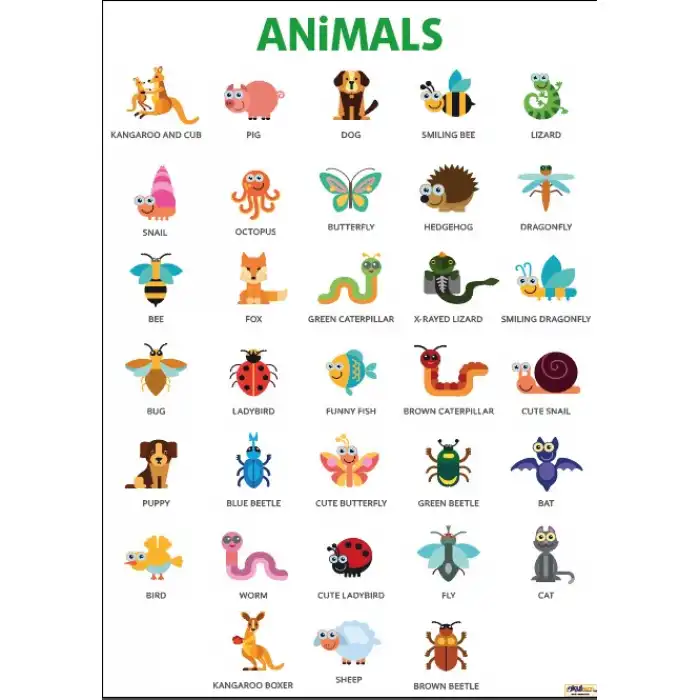 Animals Afişi 2