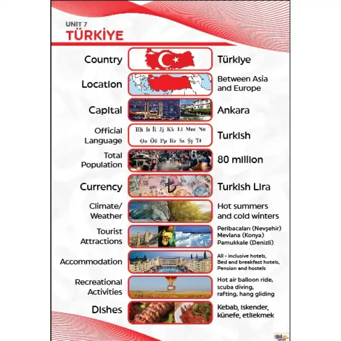 Turkey Afişi (Posteri)