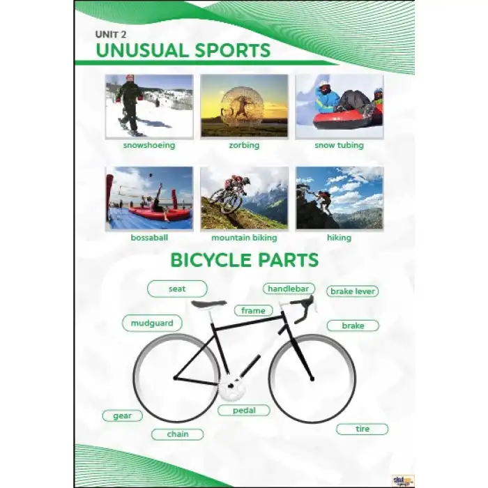 Unusual Sports Afişi (Posteri)