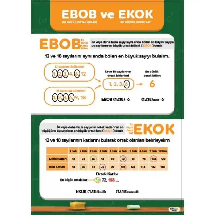 Ebob ve Ekok Afişi (Posteri)