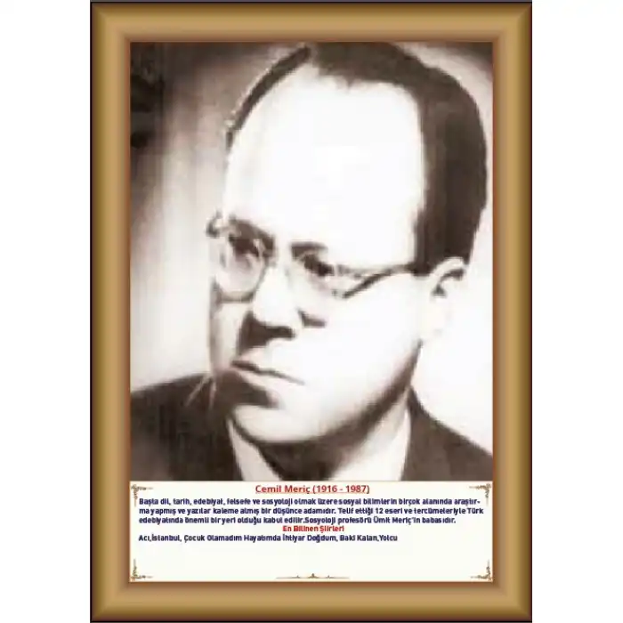 Cemil Meriç Afişi