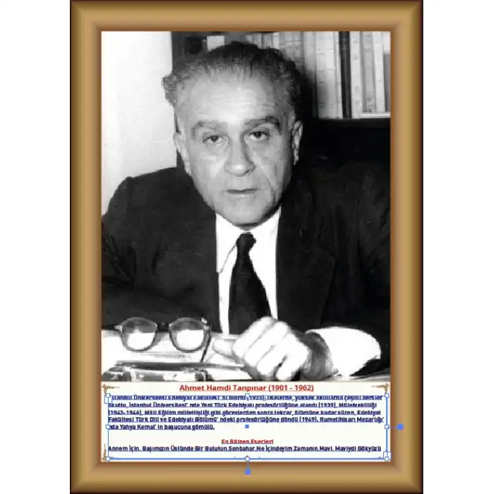Ahmet Hamdi Tanpınar Afişi