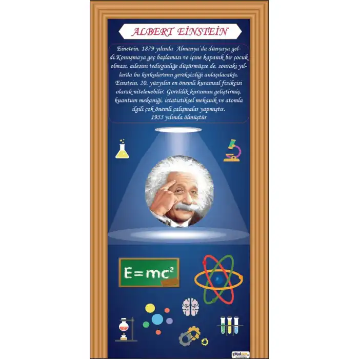 Albert Einstein Kapı Giydirme