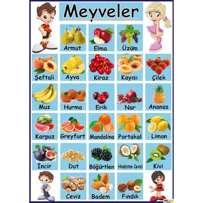 Meyveler Afişi