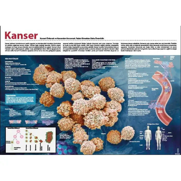 Kanser Afişi (Posteri)