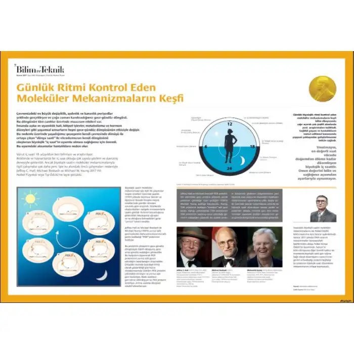 Moleküler Mekanizmalar Afişi