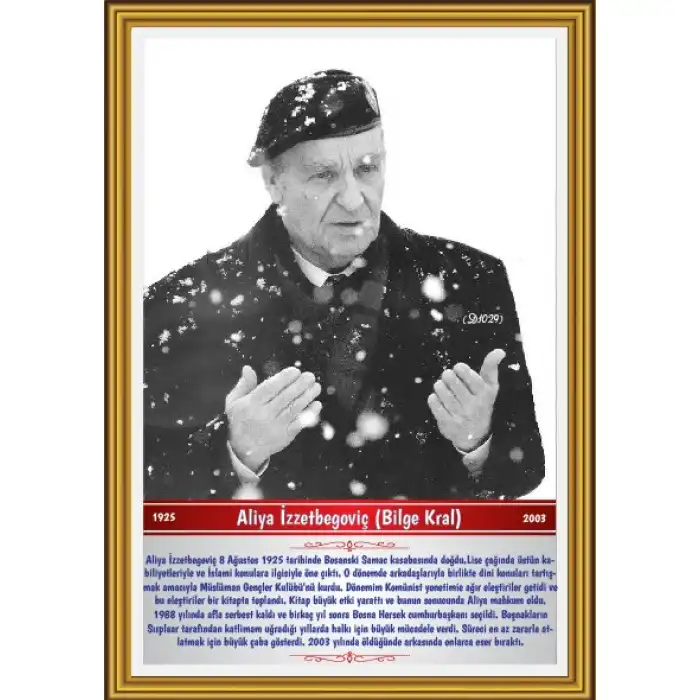 Aliya İzzetbegoviç Afişi (Posteri)