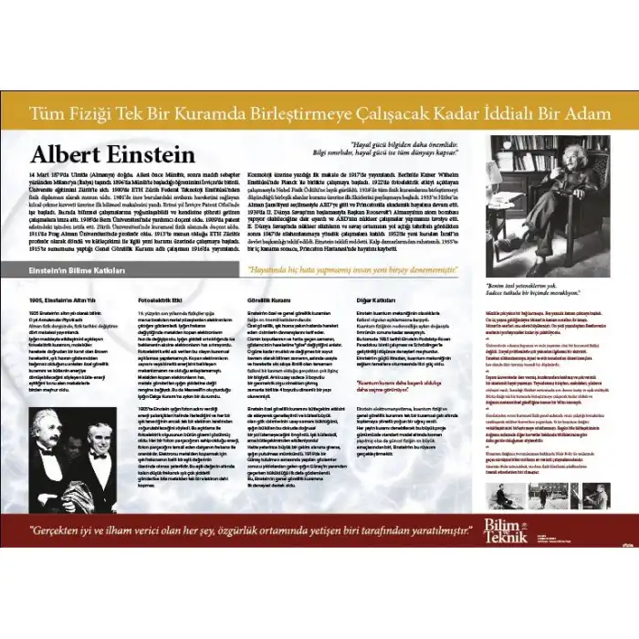 Albert Einstein Afişi (Posteri)