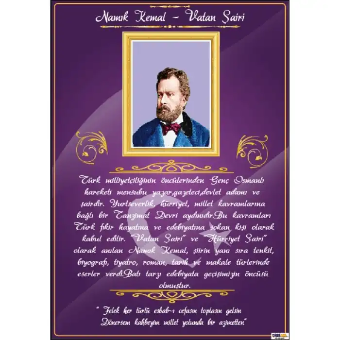 Namık Kemal Afişi