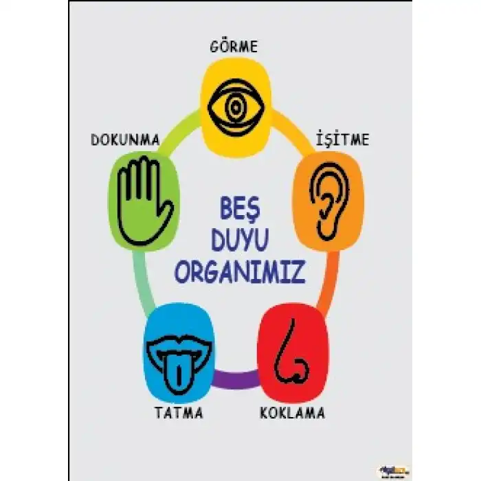 Beş Duyu Organımız Afişi