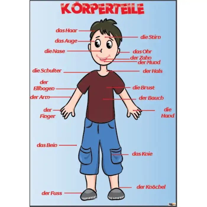 die Körperteile (Posteri)