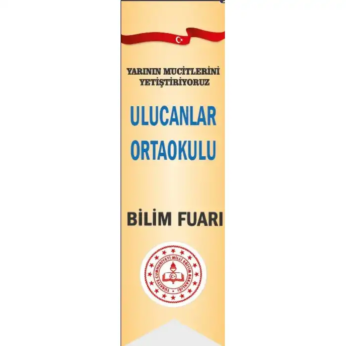 Okul Bilim Fuarı Kırlangıç Bayrak 2