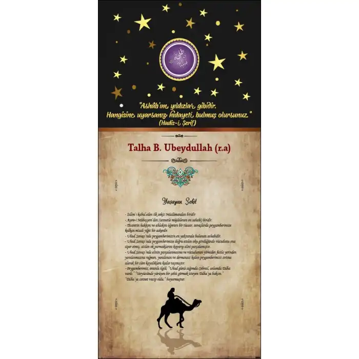 Talha Bin Ubeydullah Kapı Giydirme