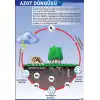 Azot Döngüsü Posteri