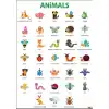 Animals Afişi 2