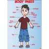 İngilizce Body Parts Afişi