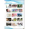 Activities 2 Afişi (Posteri)