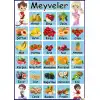 Meyveler Afişi