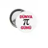 Dünya Pi Günü Rozeti 2
