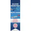 Okul Bilim Fuarı Kırlangıç Bayrak 5