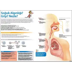 Grip, Nezle ve Soğuk Algınlığı Afişi (Posteri)