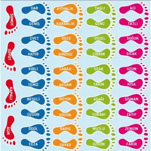 Zıt Anlamlı Sözcükler Ayak İzi