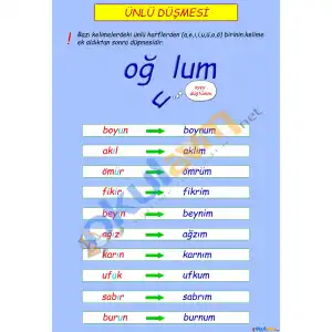 Ünlü Düşmesi Afişi