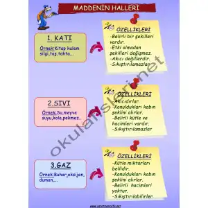 Maddenin Halleri Afişi