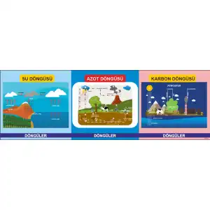 Su, Azot ve Karbon Döngüsü Afişi