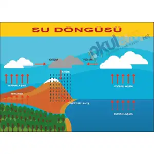 Su Döngüsü Afişi