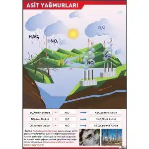 Asit Yağmurları Afişi