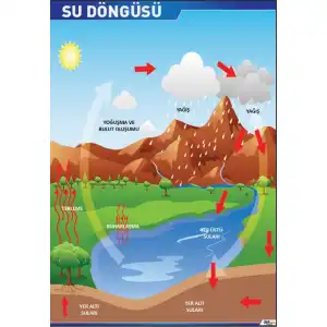 Su Döngüsü Posteri