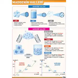 Maddenin Halleri Posteri