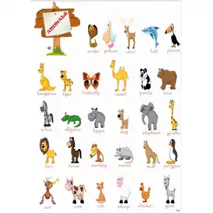 İngilizce Hayvanlar Afişi (Animals)