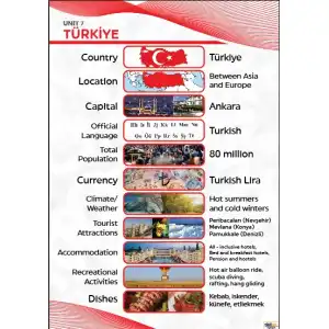 Turkey Afişi (Posteri)