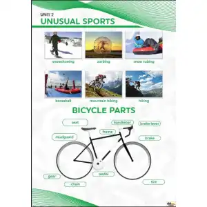 Unusual Sports Afişi (Posteri)