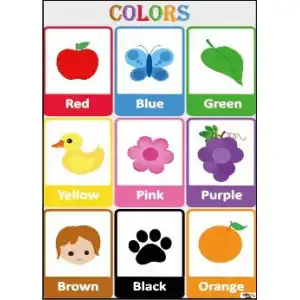 İngilizce Renkler (Colors) Afişi (Posteri) 2