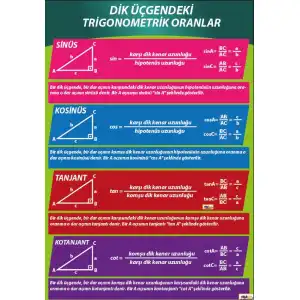 Dik üçgende Trigonometrik Oranlar Afişi
