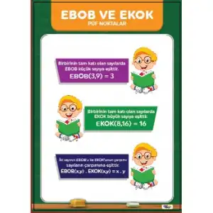 Ebob ve Ekok Püf Noktalar Afişi (Posteri)