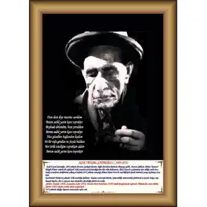 Aşık Veysel Afişi