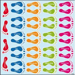 İngilizce Zıtlıklar Ayakizi (footprints&opposites)