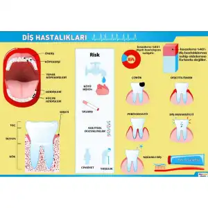 Diş Hastalıkları Posteri