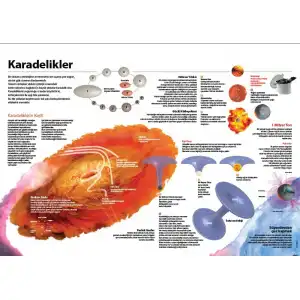 KaraDelikler Afişi (Posteri)
