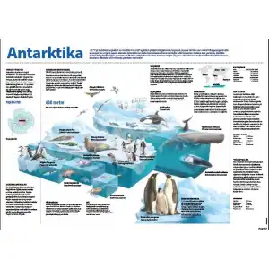 Antarktika Afişi (Posteri)