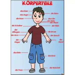 die Körperteile (Posteri)