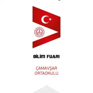 Okul Bilim Fuarı Kırlangıç Bayrak 6
