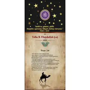 Talha Bin Ubeydullah Kapı Giydirme