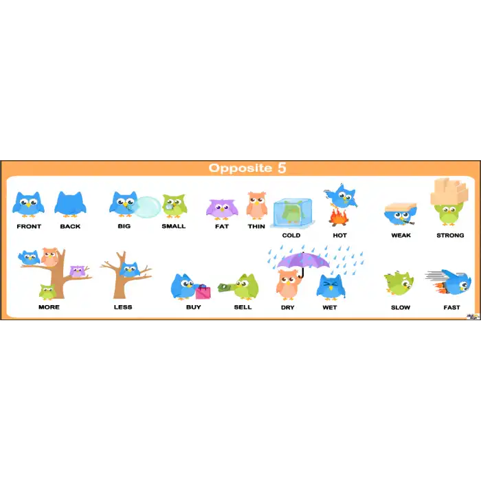 İngilizce Opposite Afişi 5