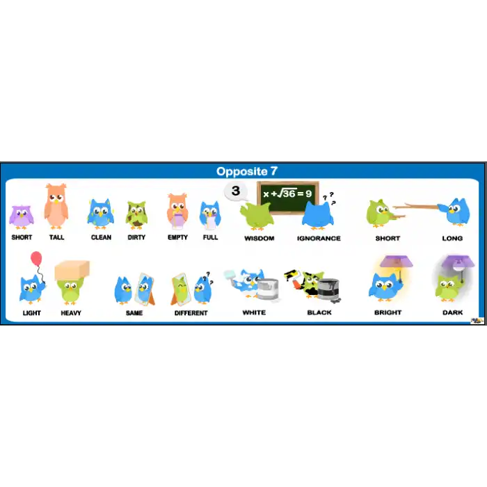 İngilizce Opposite Afişi 7