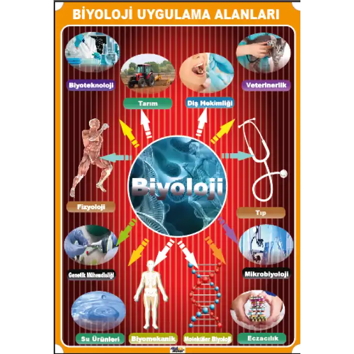 Biyolojinin Kullanım Alanları Afişi